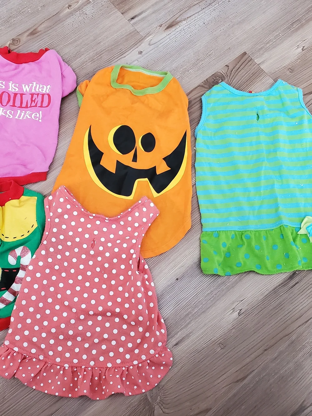 Dog clothes 8 outfits Christmas Princess Halloween This Is What Spoiled Looks